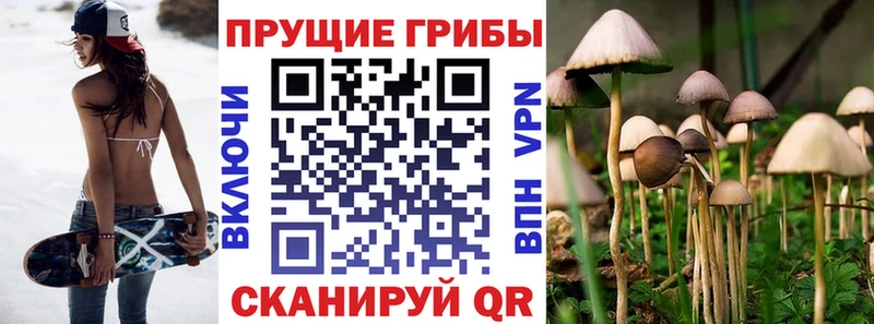 сайты даркнета как зайти  наркошоп  Лебедянь  Псилоцибиновые грибы мицелий 